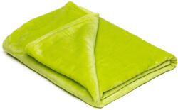 My House Világoszöld mikroplüss takaró, 150 x 200 cm - My House