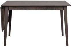 Rowico Home Tölgyfa bővíthető étkezőasztal 120x80 cm Filippa - Rowico