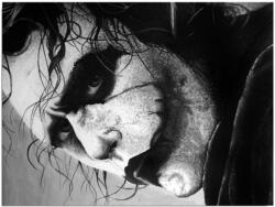 Wallity Joker vászon fali kép, 40 x 30 cm