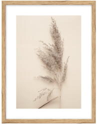 knor Kép 30x40 cm Grass - knor