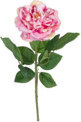 Ixia Művirág (magasság 43 cm) Rose - Ixia - bonami - 1 657 Ft