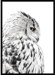Styler Kép 50x70 cm Owl - Styler