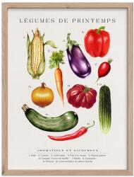 Styler Kép 30x40 cm Legumes - Styler