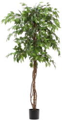 Kave Home Fikusz műnövény (magasság 180 cm) Ficus - Kave Home
