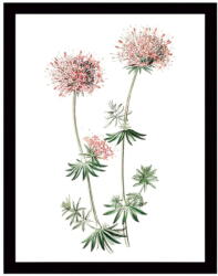 Vavien Artwork Natura vászonkép fekete keretben, 29 x 24 cm - Tablo Center