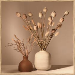 knor Kép 20x20 cm Still Life