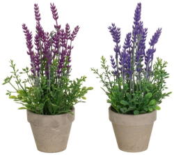Casa Selección Levendula műnövény szett 2 db-os (magasság 27 cm) - Casa Selección