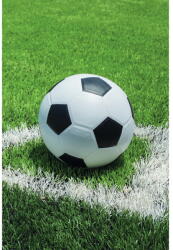 Jerry Fabrics Zöld fleece gyerek takaró 100x150 cm Football - Jerry Fabrics