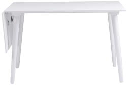 Rowico Home Lotte Leaf fehér étkezőasztal, 120 x 80 cm - Rowico