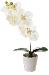 Casa Selección Műnövény (magasság 45 cm) Orchid - Casa Selección