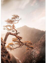 Styler Üveg kép 50x70 cm Brown Tree - Styler