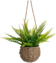 Casa Selección Haraszt műnövény (magasság 25 cm) - Casa Selección