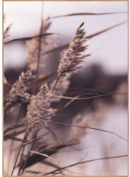 Malerifabrikken Kép 50x70 cm Mellow Grasses 3 - Malerifabrikken