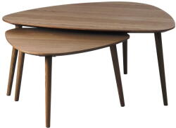 Unique Furniture Barna dohányzóasztal szett tölgyfa dekorral 2 db-os 70x100 cm Adda - Unique Furniture