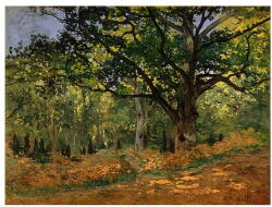 Fedkolor Claude Monet - The Bodmer Oak, Fontainebleau Forest kép másolat, 70 x 50 cm