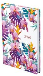 TopTimer Határidőnapló 2026 B/6 heti TOPTIMER Joy J012 Bali