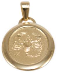 Ékszershop Skorpió mattított ovális arany medál (1331911)