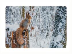  Karácsonyi lábtörlő WILD IN WHITE 38x58 cm - több változatban Változat: Mókus