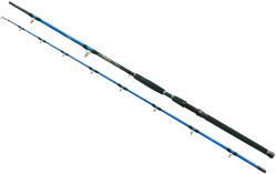 EnergoTeam Cat Pro Power harcsázó bot 300cm 600-800g (17365300)