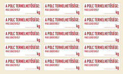  A POLC TERHELHETŐSÉGE: … KG, vinil öntapadó, 60x20