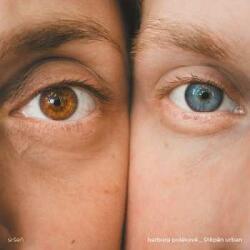 Supraphon LP Barbora Poláková: Sršeň