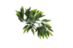 Repti Zoo műnövény futó 30cm TP001 12 (RZTP00112)