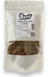 trópus katonalégy lárva 100g (TP631065)