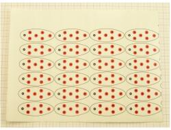 Indiana Átlátszó Fólia Nyomtatott Csillámokkal PER-No. K6 23x17cm F12 (K6-23X17-TRB-F12)