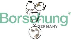 Borsehung chit lant de distributie Borsehung B12736 (B12736) - centralcar