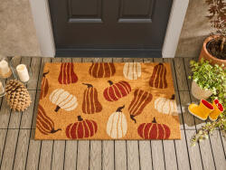 Maxishop Covor intrare PANDIN Multicolor 60 x 90 cm Dovleac Fibra de nuca de cocos (659578) Pres