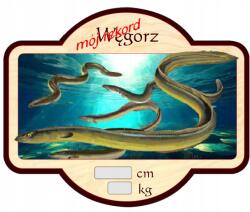 Perfekt Hűtőmágnes Perfekt 3D Hatás Ajándék Horgásznak Angolna Rekord (MNLP-WĘGORZ)