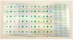 Indiana Holografikus Fólia Nyomtatott Csillámokkal WTP-No. 801 29, 5x15cm F4 (801-29,5X15-GD-F4)