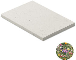 Seed Book (mo2082-06)