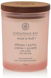 Chesapeake Bay Stillness & Purity 96 g