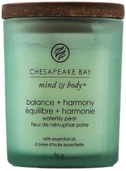 Chesapeake Bay Balance & Harmony 96 g