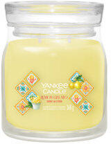 Yankee Candle Lemon Gelato 368 g