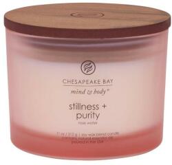 Chesapeake Bay Stillness & Purity 312 g
