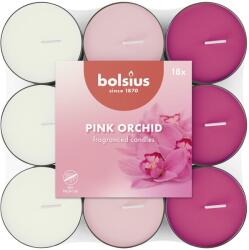 Bolsius Tea pink orchid 18 pcs
