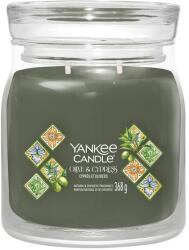 Yankee Candle Olive & Cypress 368 g