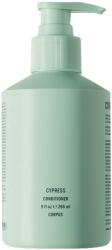 Corpus Cypress Conditioner Cypress Conditioner