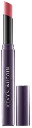 Kevyn Aucoin Unforgettable Lipstick Roserin - Shine 2 g