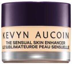 Kevyn Aucoin SX 03 10 g
