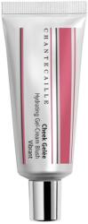Chantecaille - Pirosítók 21.62 g Vibrant