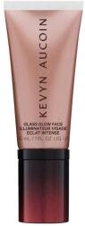 Kevyn Aucoin Glass Glow Face Prism Rose 30 ml