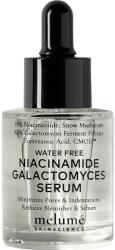 Melumé Skinscience Waterfree Niacinamide Galactomyces Serum Waterfree Niacinamide Galactomyces Serum Női