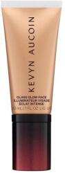 Kevyn Aucoin - Highlighter 30 ml Spectrum Bronze