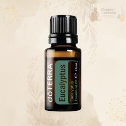 dōTERRA Eucalyptus - Eukaliptusz (15 ml)