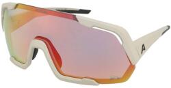 Alpina Napszemüvegek Alpina Rocket QV Cool-Grey Matt - alensa