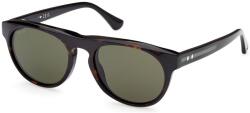 Web Eyewear WE0349 52N (WE0349 52N)