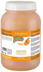 Iv San Bernard Sampon Iv San Bernard Orange, pentru caini si pisici, 3250 ml
